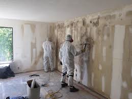 Best Black Mold Removal  in Medical Lake, WA